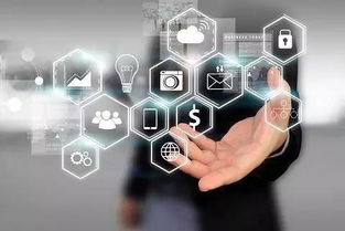 創始人丨發揮數字營銷的互聯網作用，服務實體經濟與信息服務的融合創新